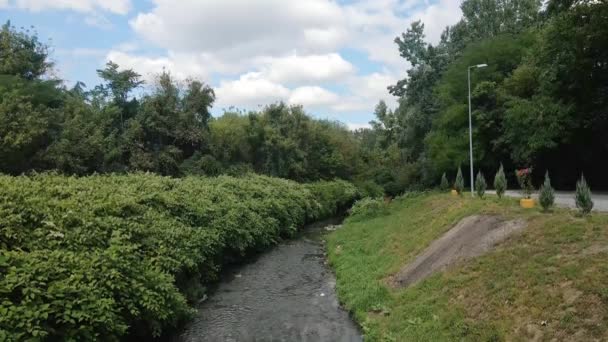 狭窄的河流流经塞尔维亚贝尔格莱德美丽的公园 — 图库视频影像