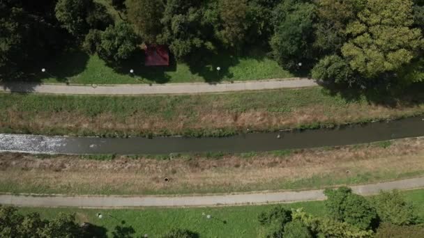 ドローンはベオグラード セルビアの公園を通って流れる川トップサイダーの上を直接飛ぶ — ストック動画