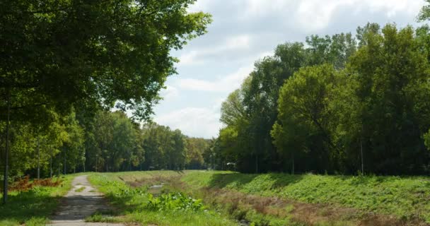 Piękne Bujne Zielone Drzewa Parku Topcider Otaczający Rzekę Słoneczny Dzień — Wideo stockowe