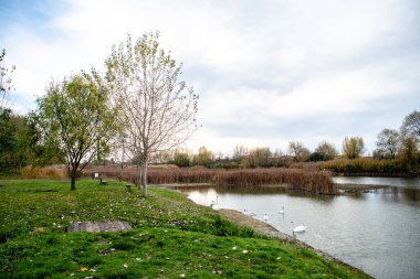 Bir nehrin kıştan sonraki manzarası, güzel, huzurlu bir yer.