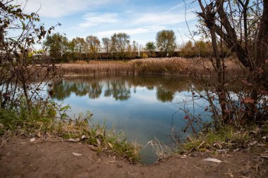 Güneşli bir günde, doğada suyun kenarında huzurlu güzel bir yer.