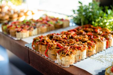 Mini vejetaryen sandviçler..