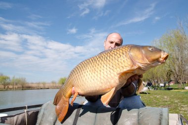 Balıkçı büyük bir sazan yakaladı.