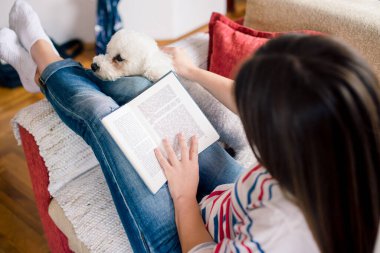 Genç bayan oturma odasındaki kanepede kitap okuyor.