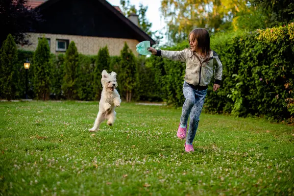 Şirin küçük kız evde küçük beyaz bir köpekle oynuyor.