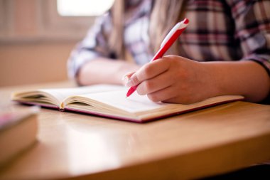 Masada öğrenme faslını geç..