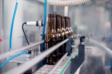 Bira fabrikasındaki taşıyıcı banttaki bira şişelerini kapat..