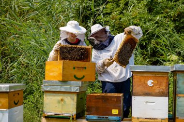 Erkek ve kız arıcılar arı çiftliklerini inceliyorlar.
