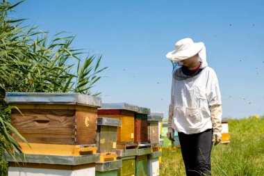 Saha teftişinde olan kız arıcı.