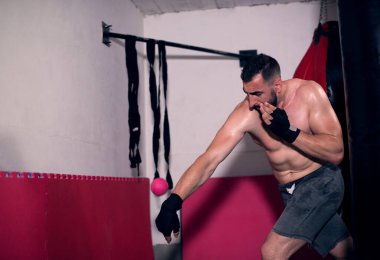 Genç boksör spor salonunda çalışıyor.