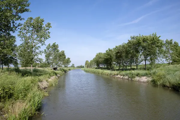 Doğada küçük bir nehir, aydınlık bir yaz gününde.