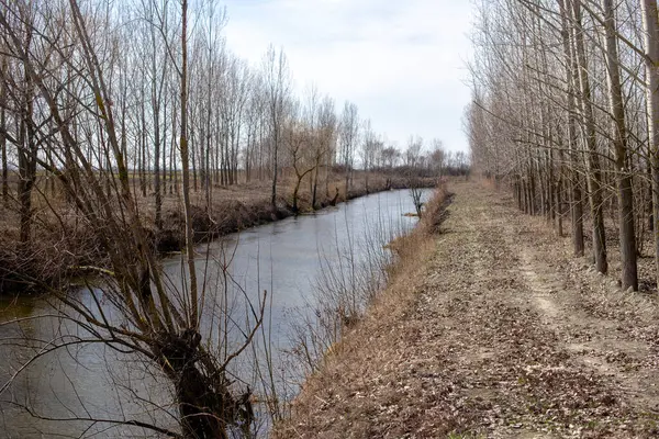 Nehir kıyısında bahar
