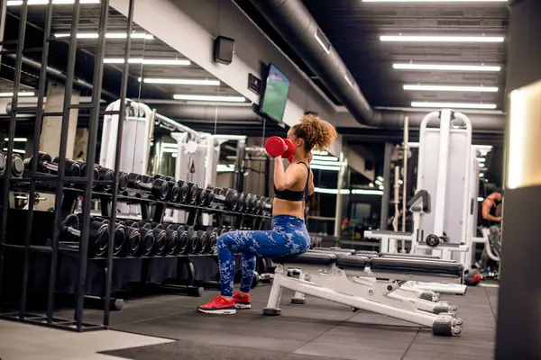 Çekici genç bayan spor salonunda küçük kırmızı ağırlıklarla antrenman yapıyor.