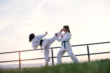 Görüntüyü iki dövüş sanatları savaşçı.