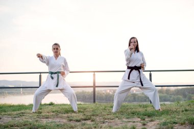 Görüntüyü iki dövüş sanatları savaşçı.