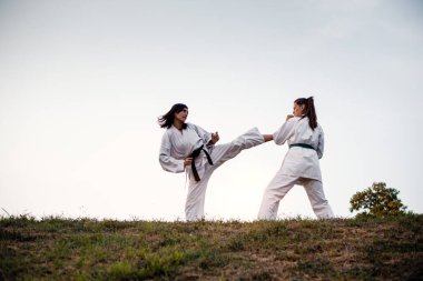 Görüntüyü iki dövüş sanatları savaşçı.