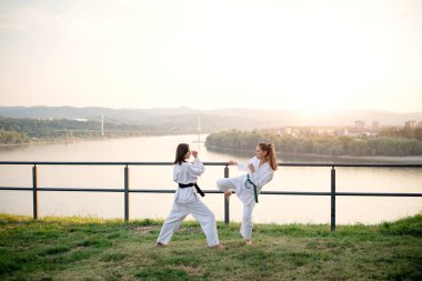 Görüntüyü iki dövüş sanatları savaşçı.