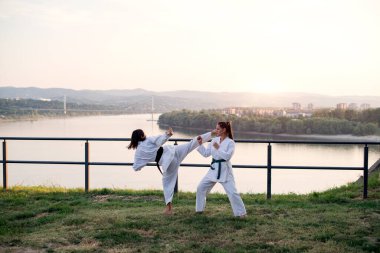 Görüntüyü iki dövüş sanatları savaşçı.
