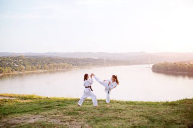 Görüntüyü iki dövüş sanatları savaşçı.