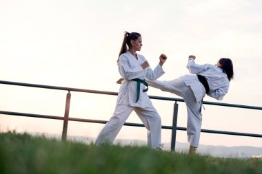 Görüntüyü iki dövüş sanatları savaşçı.