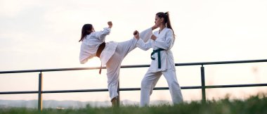 Görüntüyü iki dövüş sanatları savaşçı.