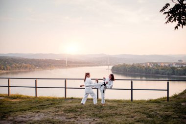 Görüntüyü iki dövüş sanatları savaşçı.