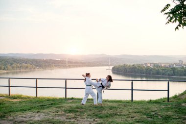 Görüntüyü iki dövüş sanatları savaşçı.
