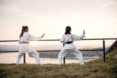 Görüntüyü iki dövüş sanatları savaşçı.