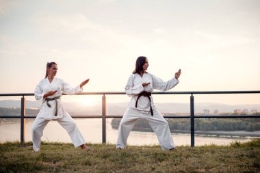 Görüntüyü iki dövüş sanatları savaşçı.