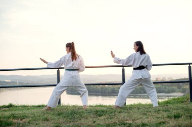 Görüntüyü iki dövüş sanatları savaşçı.