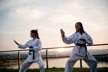 Görüntüyü iki dövüş sanatları savaşçı.