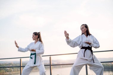 Görüntüyü iki dövüş sanatları savaşçı.