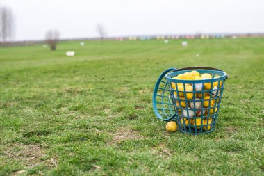 Golf topları bir sepetin içinde.