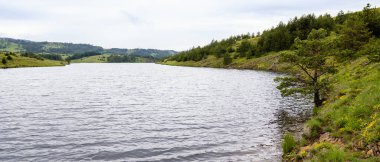 Güneşli bir günde nehrin fotoğrafı. Güzel, huzurlu bir yer.