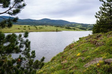 Nehir ve dağların fotoğrafı. Temiz hava ve temiz su ile güzel, huzurlu bir yer.
