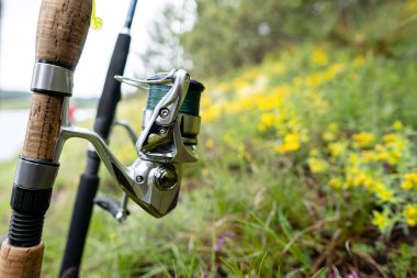 Güneşli bir günde doğada olta kamışı. Yakın çekim fotoğrafı. Doğadaki hobi