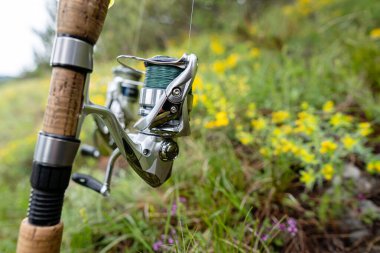 Güneşli bir günde doğada olta kamışı. Yakın çekim fotoğrafı. Doğadaki hobi