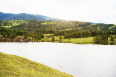 Yazın dağların ve nehrin güzel manzarası.
