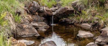 Doğada tatlı su olan küçük bir derenin fotoğrafını çek.