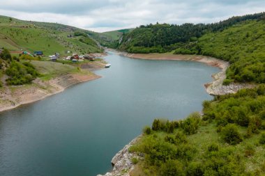 Temiz su ve ağaçlar. Manzara fotoğrafı. Güzel doğa.