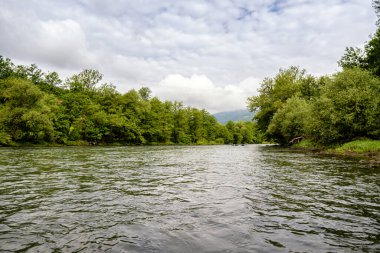 Güneşli bir günde nehrin fotoğrafı. Güzel, huzurlu bir yer.