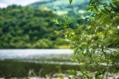 Nehir ve dağların yakın fotoğrafını çek. Temiz hava ve temiz su ile güzel, huzurlu bir yer.