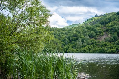 Sessiz nehir yabani otlarla kaplandı. Balık tutmak için huzurlu bir yer.