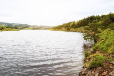 Güneşli bir günde nehrin fotoğrafı. Güzel, huzurlu bir yer.