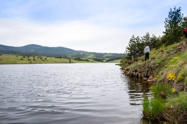 Çimenler suya. Nehir kenarında güzel, huzurlu bir yer.