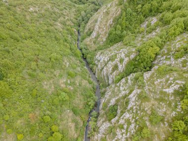 Temiz suyun ve dağların havadan görünüşü. Drone fotoğrafı. Güzel doğa.