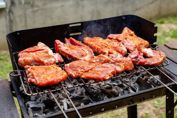 Bahçede barbekü. Lezzetli ızgara yemekler. Piknik zamanı