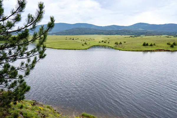 Nehir ve dağların fotoğrafı. Temiz hava ve temiz su ile güzel, huzurlu bir yer.
