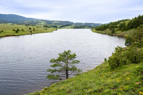 Nehir ve dağların fotoğrafı. Temiz hava ve temiz su ile güzel, huzurlu bir yer.