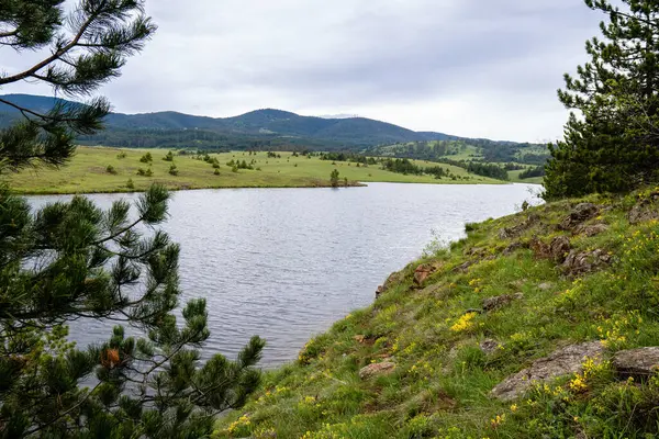Nehir ve dağların fotoğrafı. Temiz hava ve temiz su ile güzel, huzurlu bir yer.